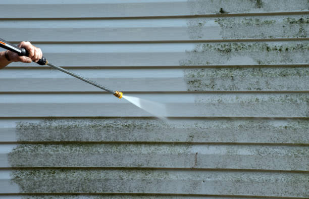 Why Choose Our Certified Pressure Washing Experts for Your Project Needs in Immokalee, FL?